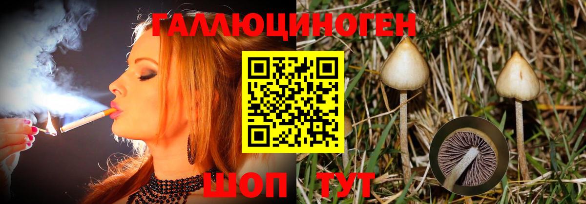 Галлюциногенные грибы Magic Shrooms  Вход с VPN  Можга 